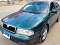 skoda-aoktafya-fbryk-balkaml-obha-gmyaa-alkmalyat-aaal-fy-small-0