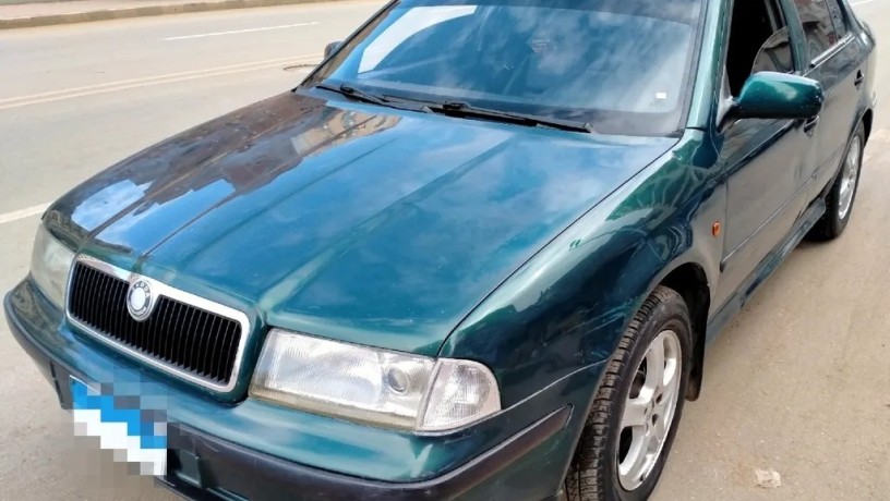 skoda-aoktafya-fbryk-balkaml-obha-gmyaa-alkmalyat-aaal-fy-big-0
