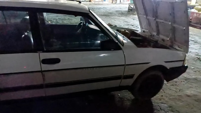 dogan-91-big-1